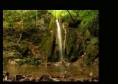 /album/photogallery/slivov-dol-1-jpg/
